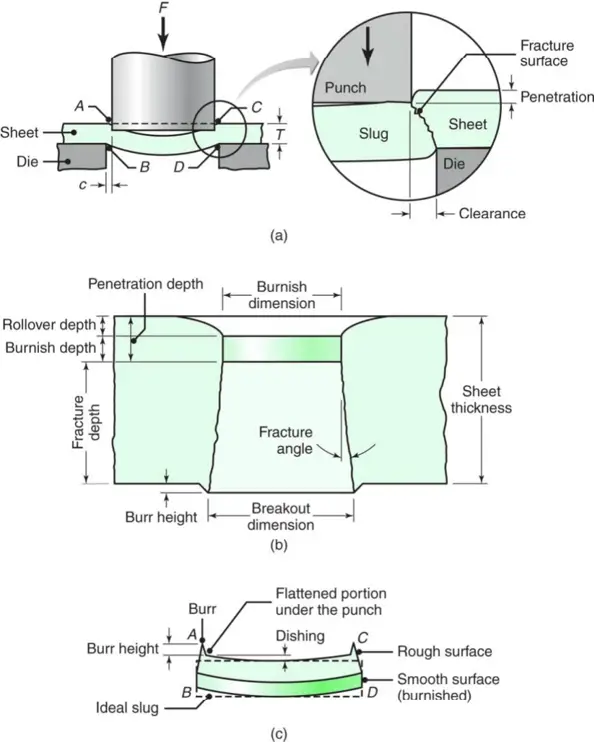 Schematic illustration of shearing with a punch and die