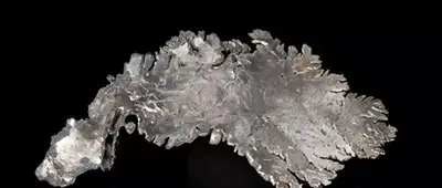 The largest natural silver