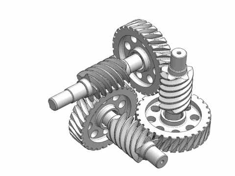 Worm Drive