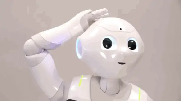 Pepper's emotional recognition developed by Japanese SBRH