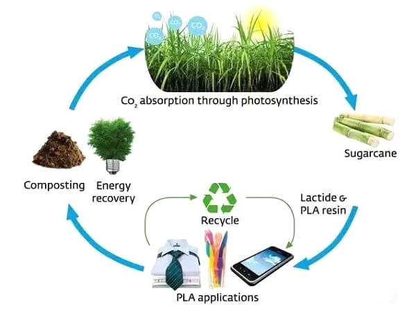 生分解性プラスチック