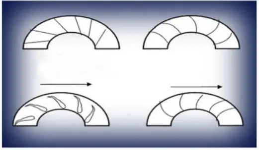 Four types of impeller