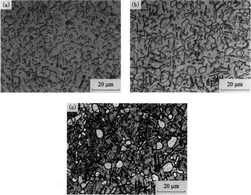 The effect of the cooling method on the microstructure of TC21 alloy
