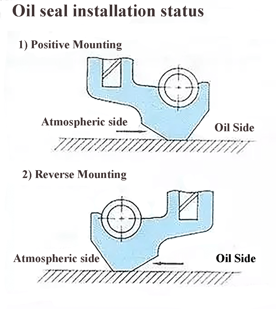 Oil seal