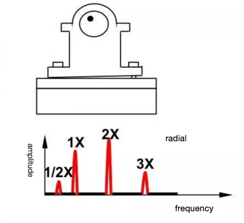 Mechanical loosening (B)