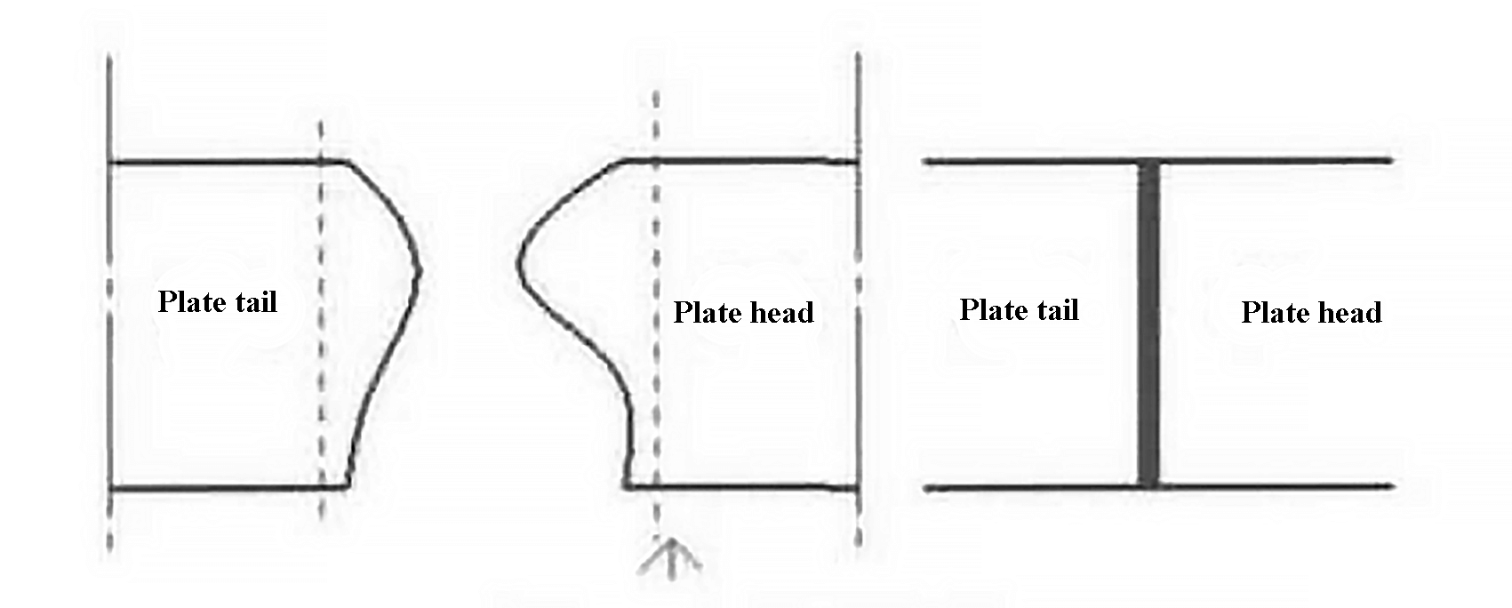 Fig. 1 Schematic diagram of the head