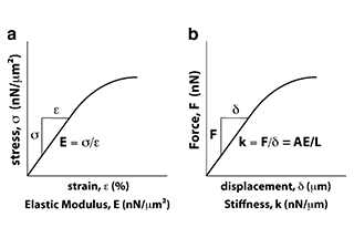 What Is The Relationship Between Elastic Modulus And Stiffness?